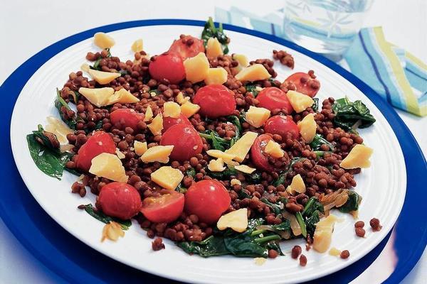 lentil salad with old cheese