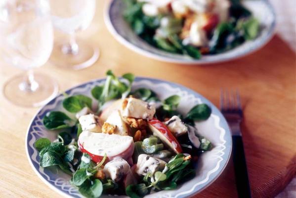 winter salad with apple, bluefin cheese and walnuts