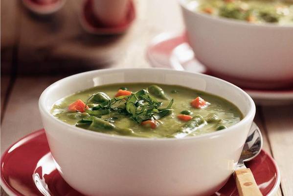 garden pea soup with basil