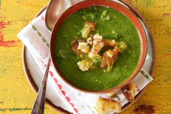 spinach soup with cheese croutons