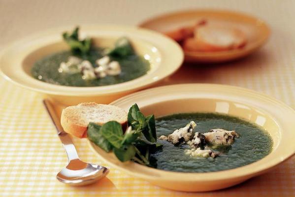 cold cucumber soup with bluefin cheese