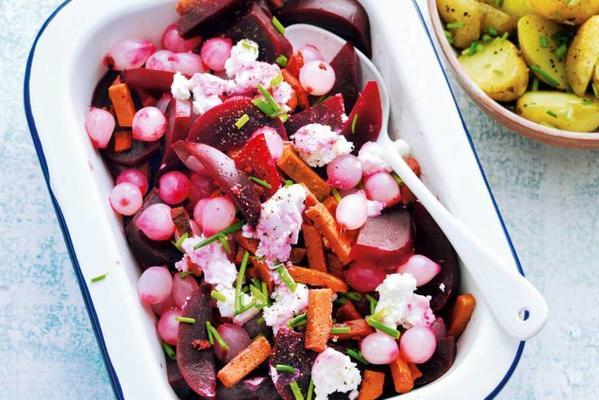 beet stew with goat cheese and kriel salad