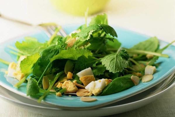 spring salad with egg and parsley