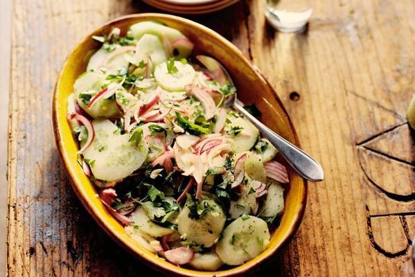 cucumber salad with onion