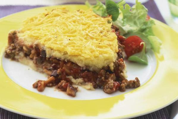 casserole with eggplant and minced meat