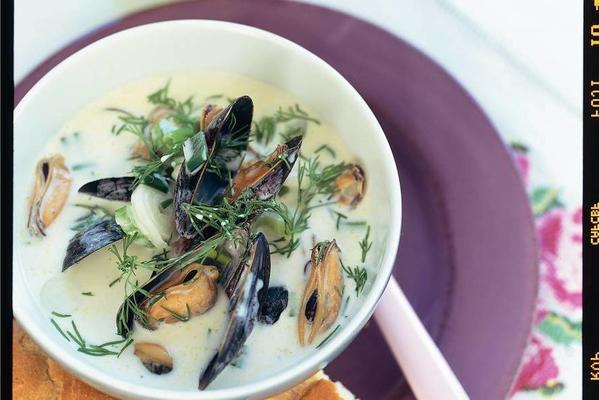 creamy mussel soup with spring onion and dill