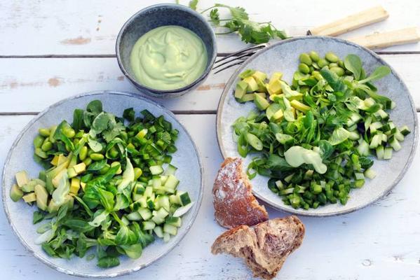 green meal salad