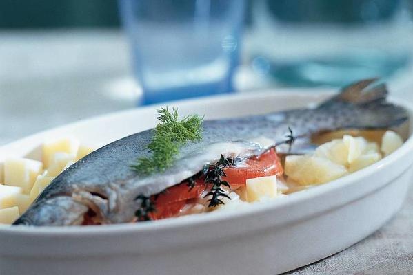trout with fennel