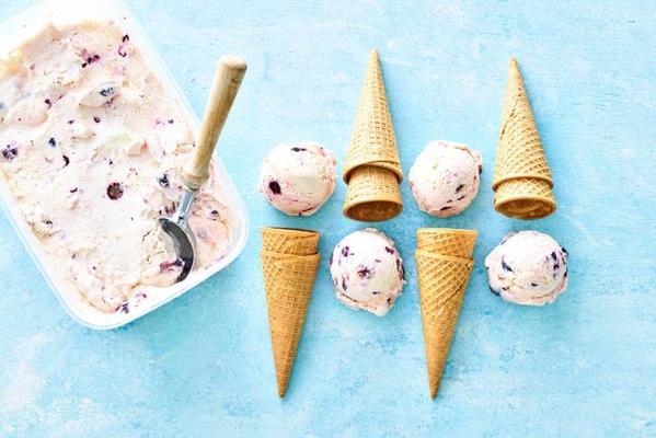 blueberry-lemon frozen yogurt