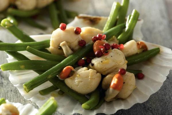st. scallops with haricots verts