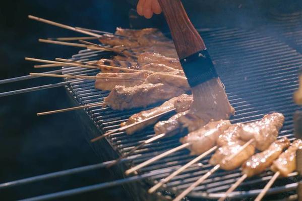 Chicken satay with coconut sauce