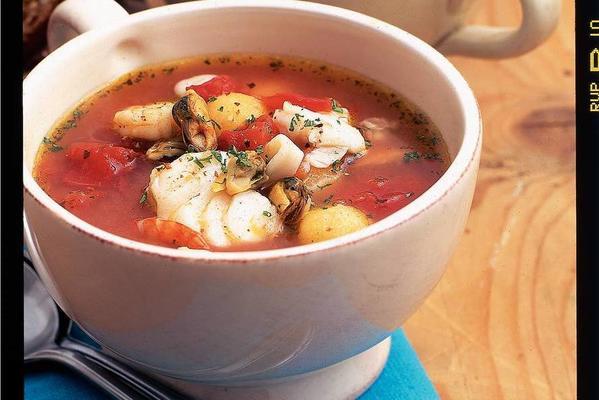 southern French fish soup