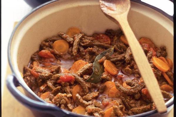 fast beef stew with carrot and puree