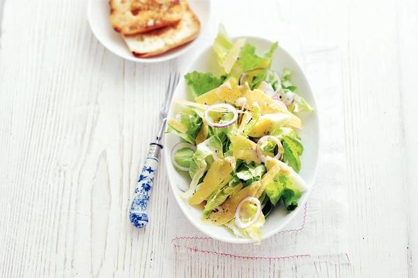 endive salad with old cheese