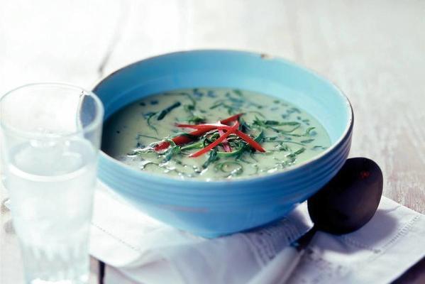 spicy spinach soup