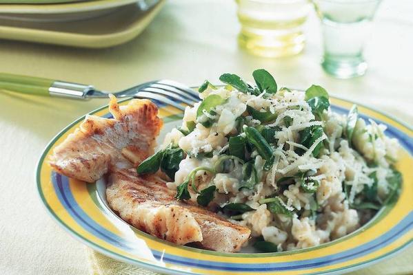 watercress risotto with redfish fillet