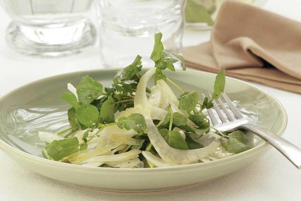 fennel salad with watercress