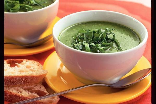 meal soup of fresh spinach and coconut