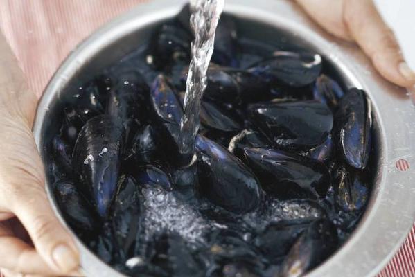 basic recipe classic mussels