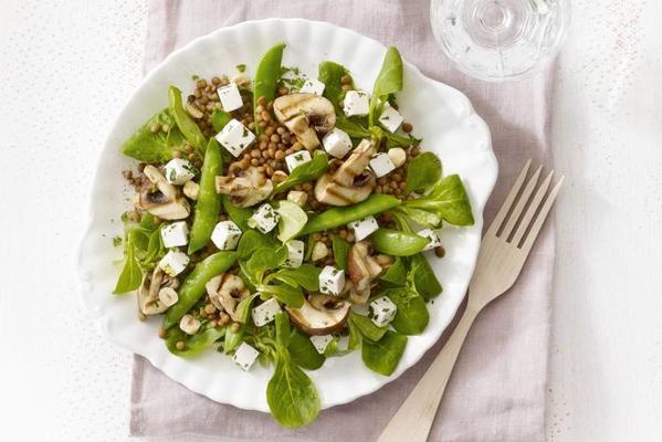 lentil salad with cheese cubes