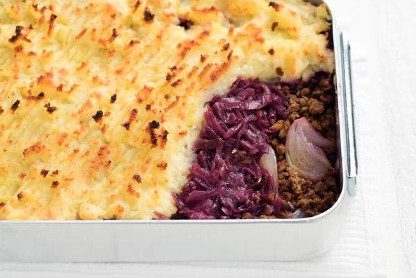 red cabbage dish with onions minced meat