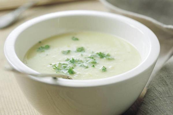 chicory soup