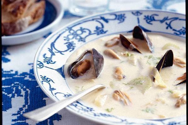 mussel soup with fennel