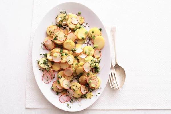 potato salad and radish and cress