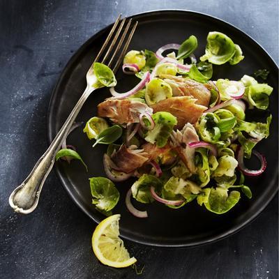 salad of marinated Brussels sprouts with mackerel and green herbs