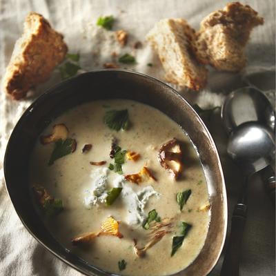 creamy mushroom soup with blue cheese