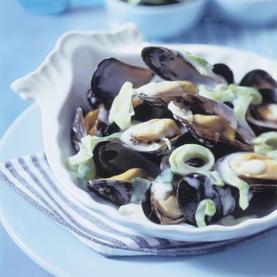 normandy mussels in cream sauce