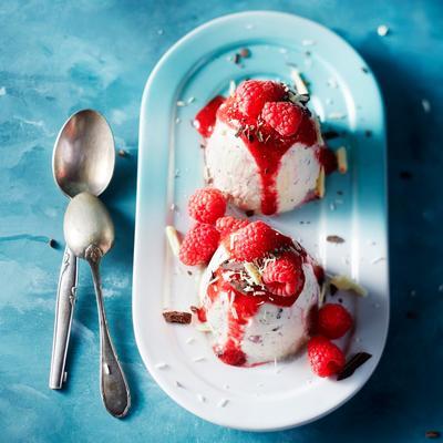 frozen yogurt with raspberries