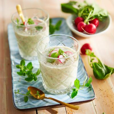 cucumber soup with radish and mint
