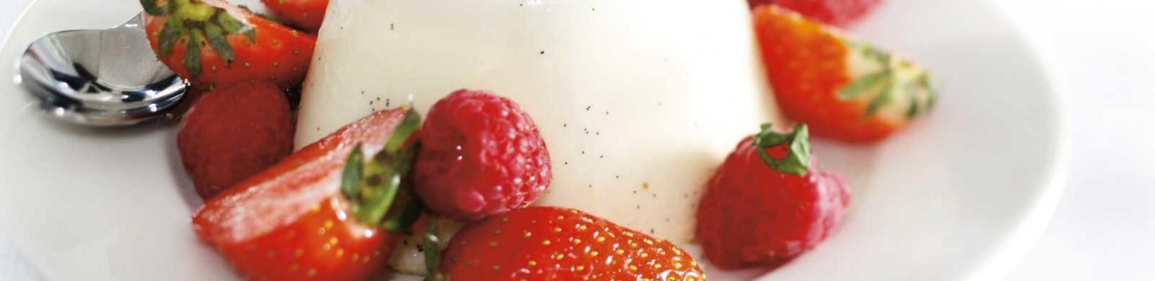vanilla panna cotta with red fruit