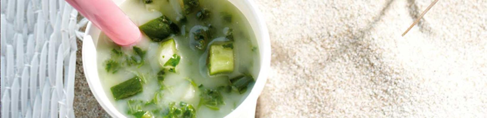 cucumber soup with spring onion