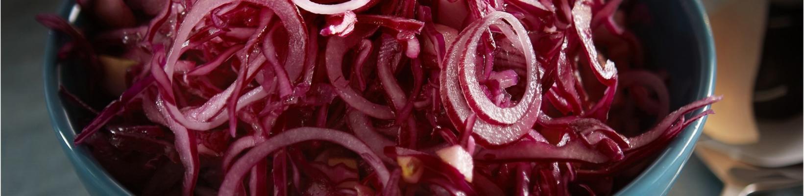 red cabbage salad with mint