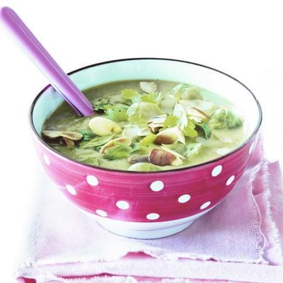 creamy sprouts soup