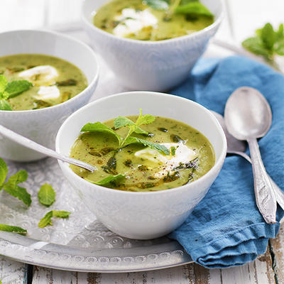 hot cucumber soup with fresh mint