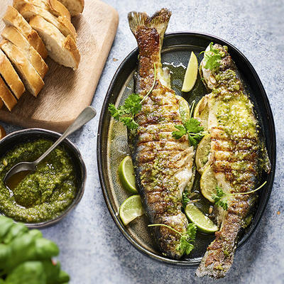 trout with pesto from the grill