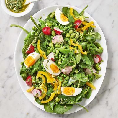 spring salad with herb dressing