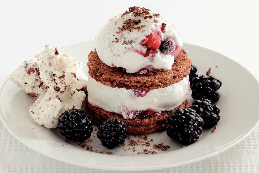 Chocolate cake with yoghurt ice cream Recipe Guide