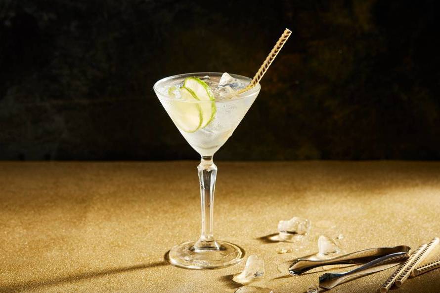Ud over Specialist Vænne sig til Martini bianco with tonic - Recipe Guide